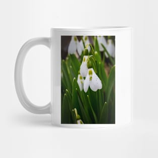 Snowdrops 3 Mug